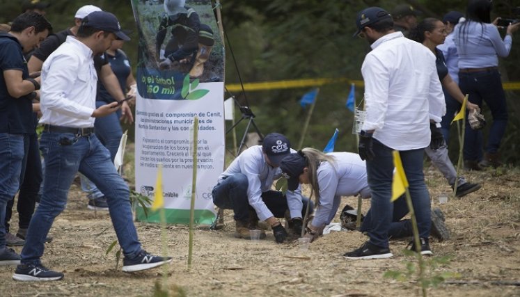 360 mil pulmones vegetales para Norte de Santander