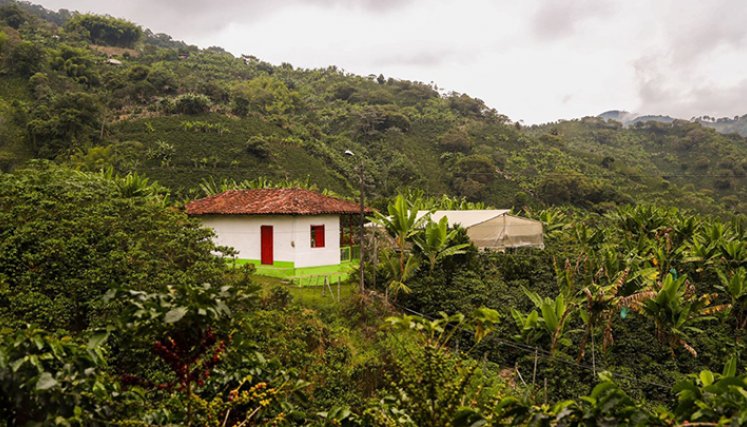 Restitución de tierras.
