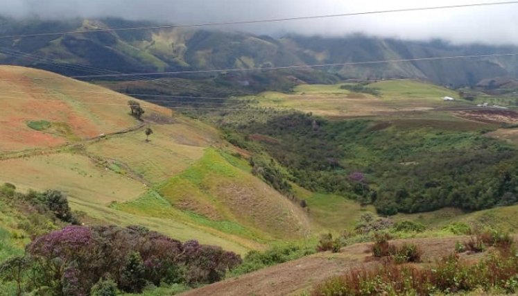 Por los confines de las cadenas montañosas de Uribante y Jáuregui buscan a familias desaparecidas. Fotos Cortesía /La Opinión 