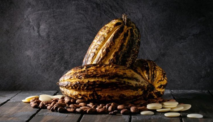 El café y el cacao serán protagonistas este fin de semana./Foto: Colprensa