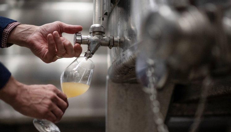 El vino británico gana cuerpo con el avance del cambio climático  