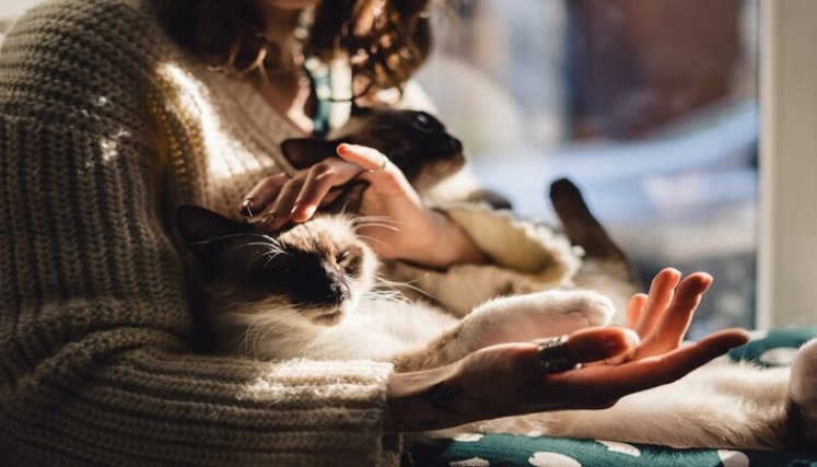 ¡Ojo al amor excesivo  por su mascota!