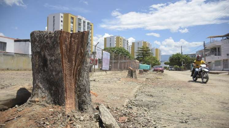 Talan seis árboles en Guaimaral