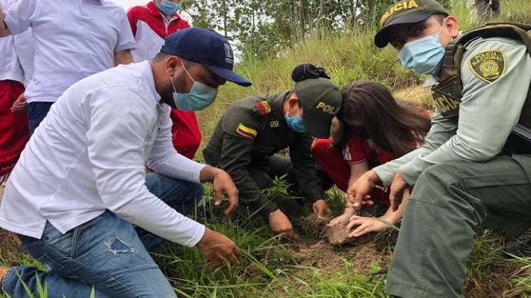 El Instituto Colombiano Agropecuario, ICA, entrega el registro para la producción de material forestal al vivero El Edén del corregimiento de Buenavista, comprensión rural del municipio de Ocaña.