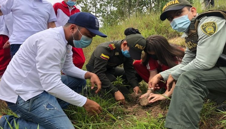 El Instituto Colombiano Agropecuario, ICA, entrega el registro para la producción de material forestal al vivero El Edén del corregimiento de Buenavista, comprensión rural del municipio de Ocaña.