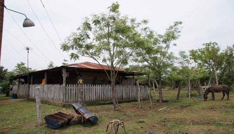 Restitución de tierras
