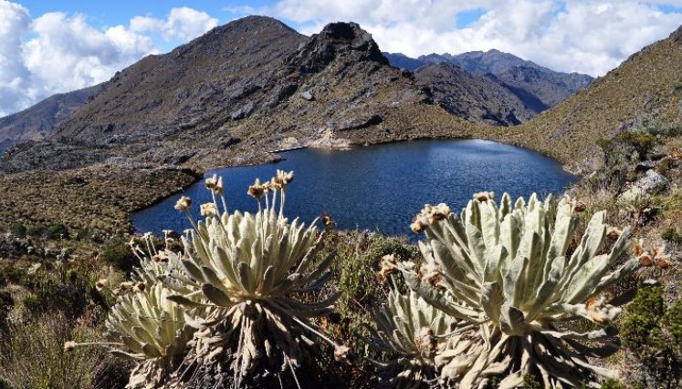 Se completaron cinco años intentando llevar a cabo la delimitación del páramo Santurbán/Foto archivo