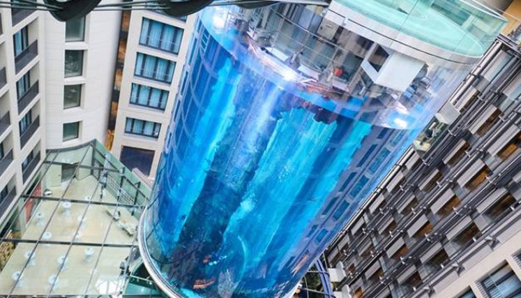 Estalla en Berlín el acuario cilíndrico más grande del mundo