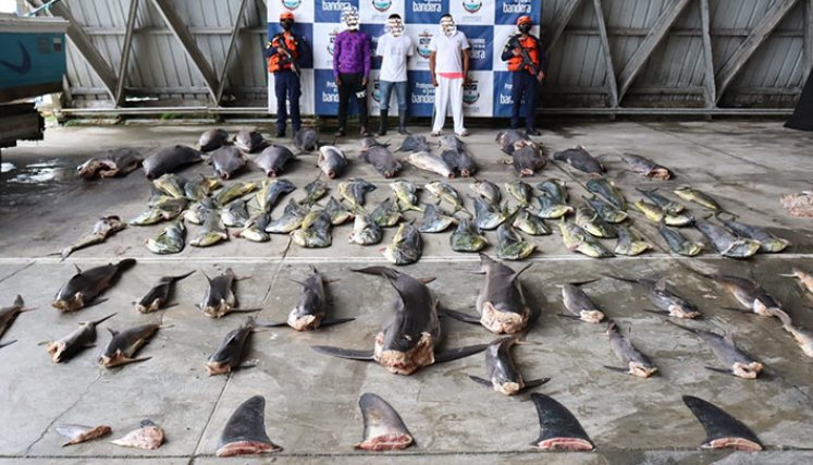 Interceptan embarcación extranjera con pesca ilegal en el Pacífico colombiano./Foto: Colprensa