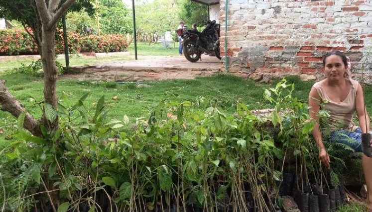 Más bosques./Foto: cortesía
