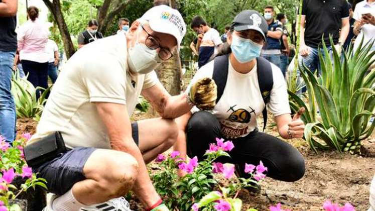 Donación de plantas de Asocarbonor.