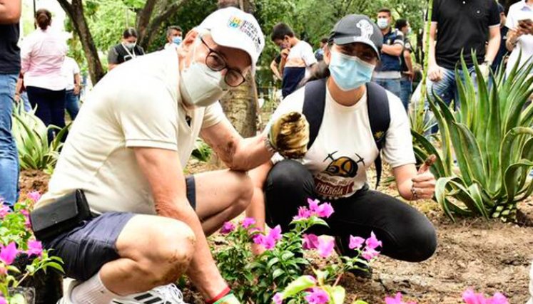 Donación de plantas de Asocarbonor.