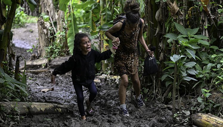Panamá descarta regularizar ruta selvática hacia EE. UU. en medio de récord de migrantes./Foto: AFP