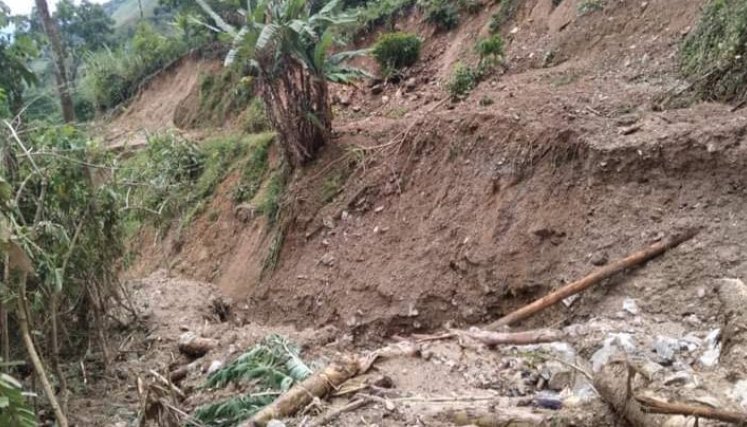Aproximadamente 400 familias se han visto afectadas por la temporada invernal en lo que va de 2023.  /Foto: Cortesía / La Opinión 