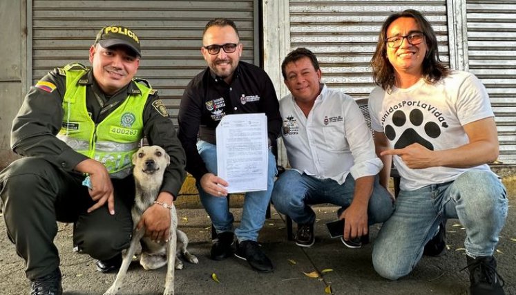 Antecedentes de animales
