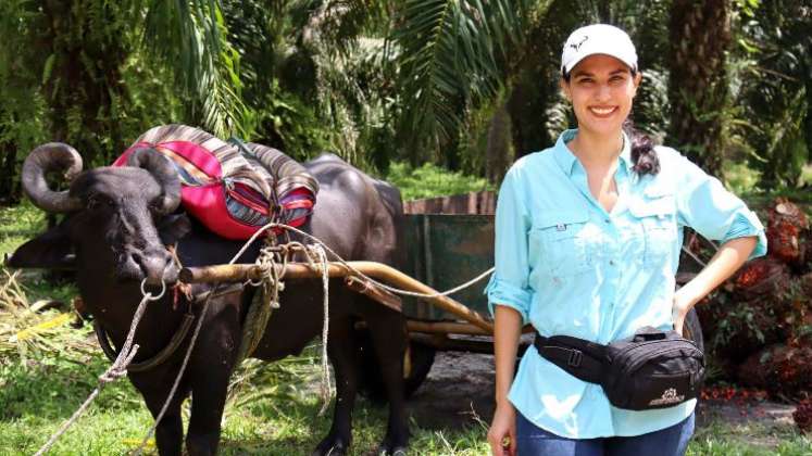 Fedepalma abre postulaciones a Premio Mujer Palmera 2023 