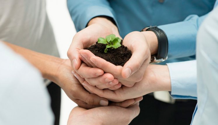 Sostenibilidad en las empresas