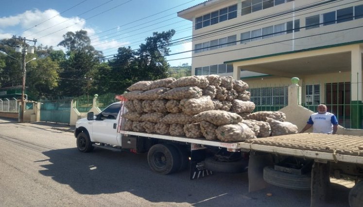 Cargamento de papa colombiana fue detectado en plena zona productora del Táchira. Fotos cortesía / La Opinión 