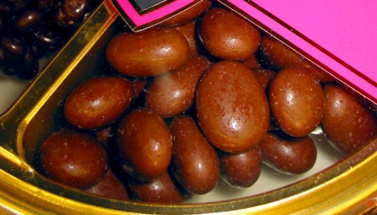 chocolate