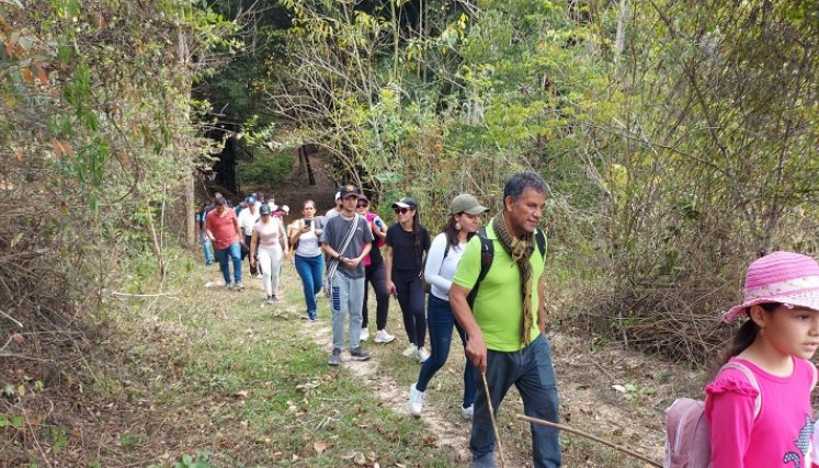 Con el firme propósito de impulsar la economía agraria de la zona del Catatumbo se promueve la Ruta ecológica del café. / Foto: Javier Sarabia / La Opinión