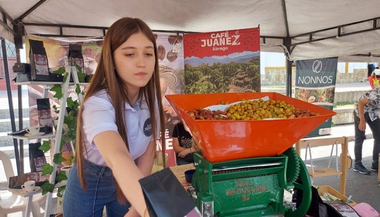En aras de resaltar la producción en la zona del Catatumbo se lleva a cabo la Feria del café y el pan en Ocaña.