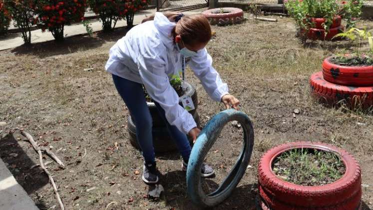 Los criaderos de mosquitos son el principal foco de propagación de la enfermedad. /Foto Cortesía / La Opinión 