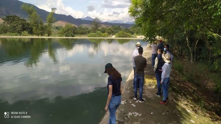 El 50 por ciento de la laguna está llena de lodo y tierra./ Foto Cortesía