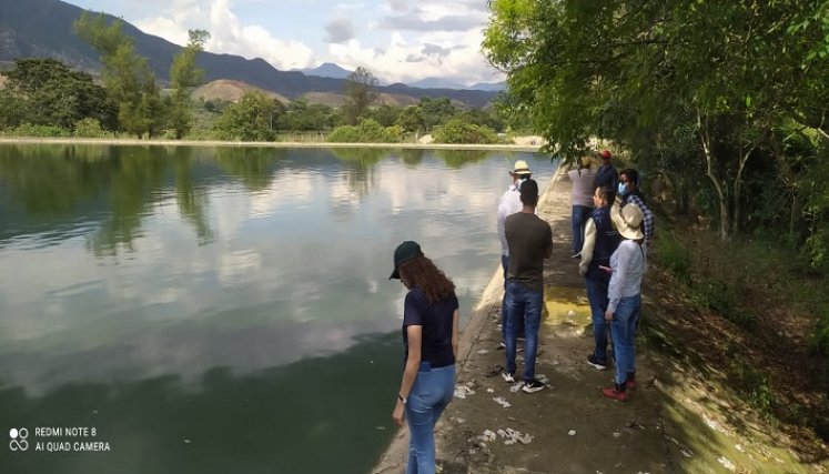 El 50 por ciento de la laguna está llena de lodo y tierra./ Foto Cortesía