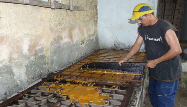 Una difícil situación atraviesan los cultivadores de caña del Catatumbo debido a la sobreoferta de la panela.