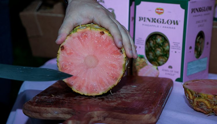 Piña rosada de Costa Rica 