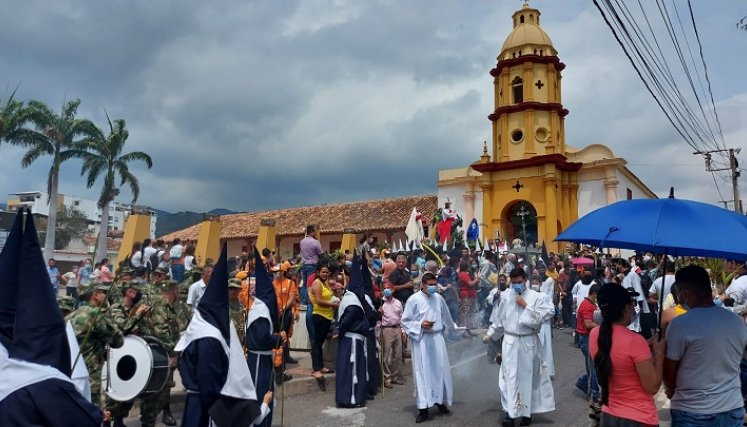 Palma Areca y Reina son algunas de las especies forestales que se entregarán. / Fotos: Cortesía