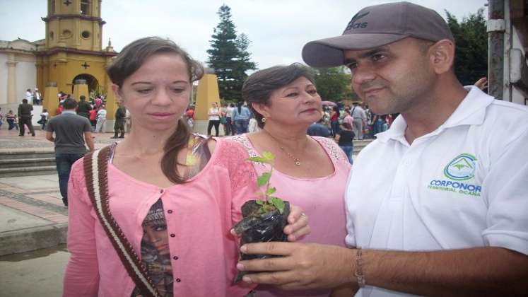 Palma Areca y Reina son algunas de las especies forestales que se entregarán. / Fotos: Cortesía