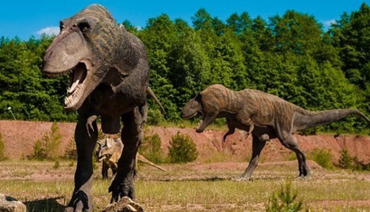 Los tiranosaurios rex tenían labios, según estudio