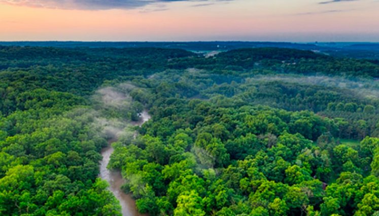 El Amazonas es la mayor selva tropical del mundo.