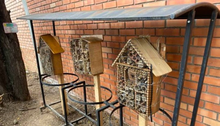 En estos espacios, las abejas podrán alimentarse, protegerse y reproducirse./ Fotos: Cortesía / La Opinión 