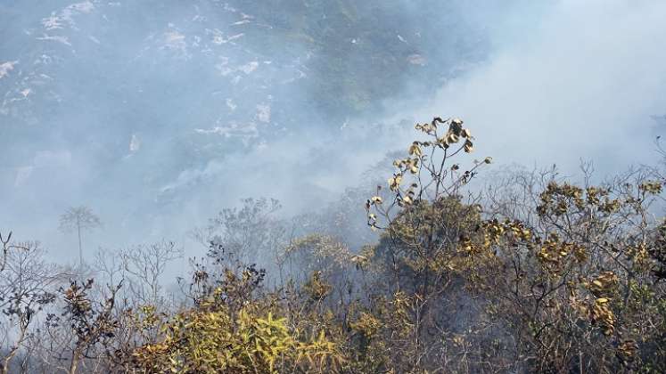 Unas 70 hectáreas de capa vegetal fueron quemadas por un incendio forestal en Ábrego.