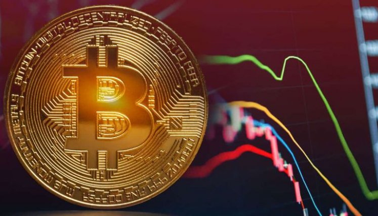 Criptomonedas resilientes: transacciones aumentan más del 37% en todo el mundo