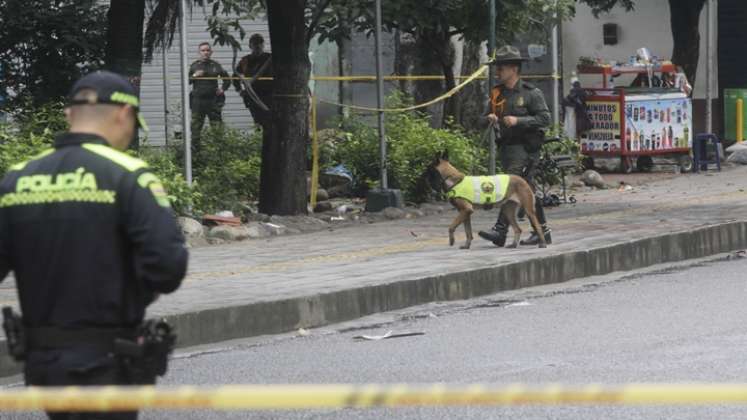 Varios perros antiexplosivos revisaron el parque el día del hecho.