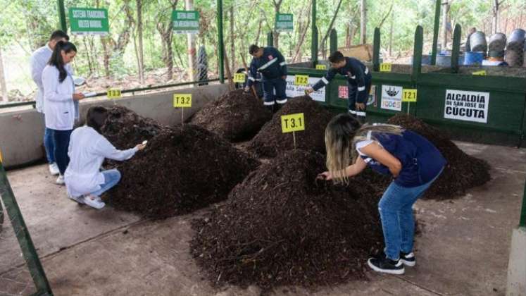 En Cúcuta ya se está produciendo abono orgánico a gran escala. 