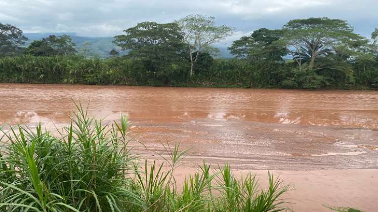 Campesinos emprenden campaña para rescatar las especies endémicas en el Catatumbo.