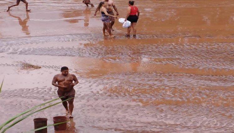 Campesinos emprenden campaña para rescatar las especies endémicas en el Catatumbo.