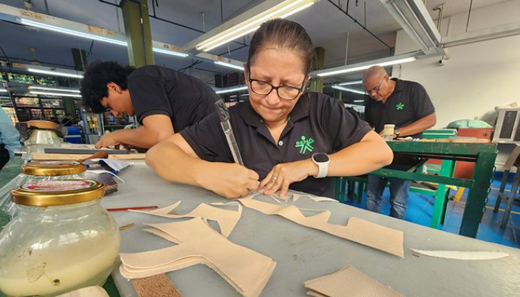 Empleo en el Sena 