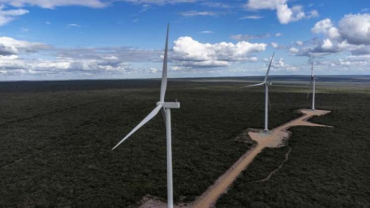 Parque eólico en Brasil. / Foto: AFP