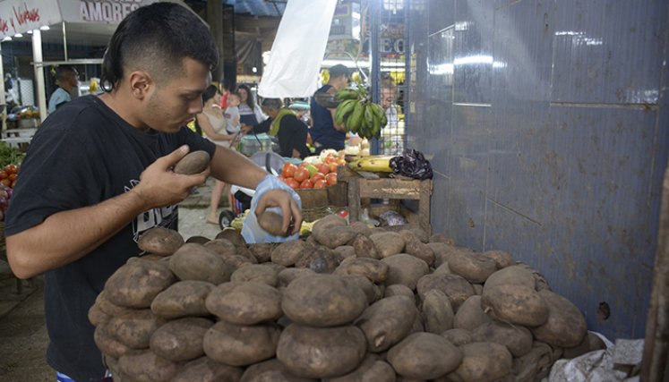 alimentos