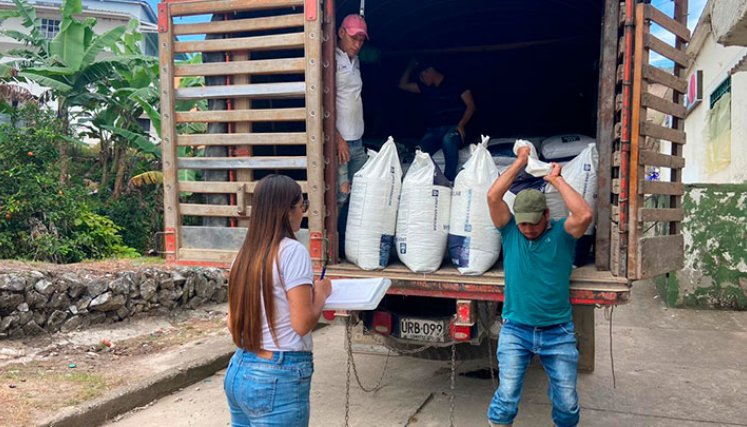 La actividad se realizó en el marco del proyecto Restauración de la Caficultura. / Foto: Cortesía