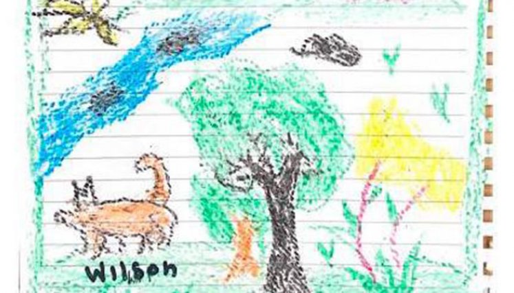 Dibujo Wilson
