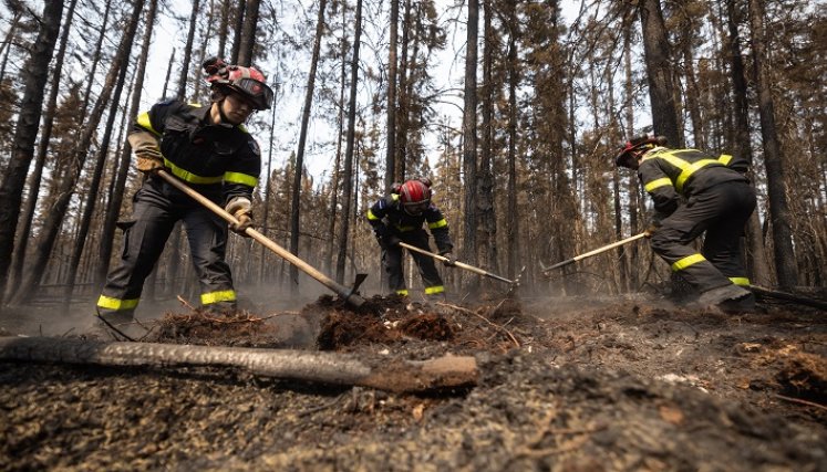 Incendios-Canadá. / Foto: AFP