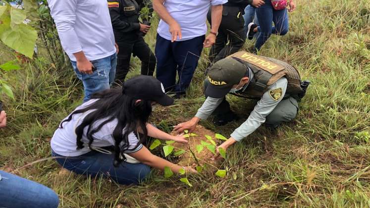 El Gobierno Municipal trabaja en actividades de educación y control ambiental para lograr una conciencia colectiva y una ciudad más sostenible./ Foto: Cortesía