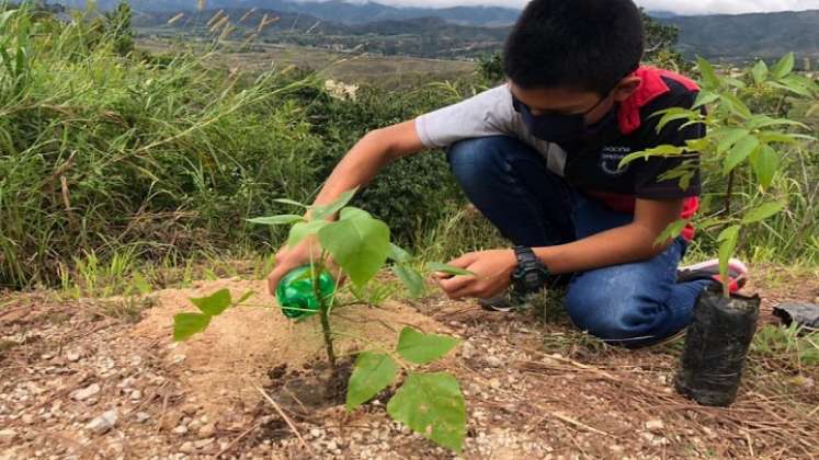 El Gobierno Municipal trabaja en actividades de educación y control ambiental para lograr una conciencia colectiva y una ciudad más sostenible./ Foto: Cortesía