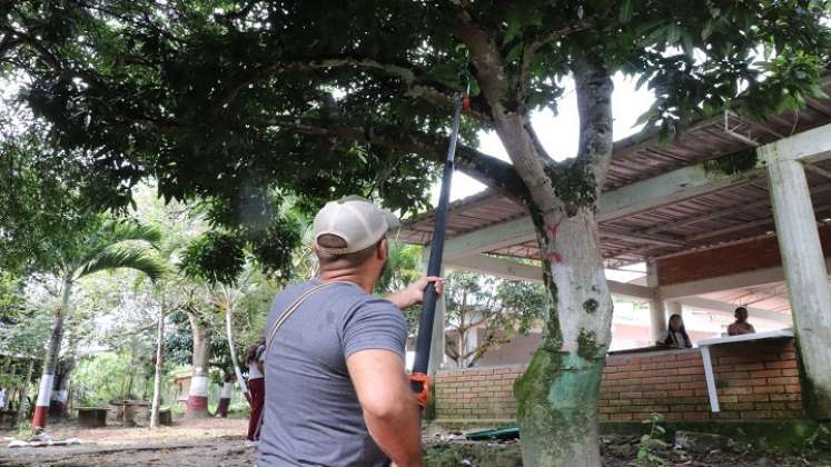 El Gobierno Municipal trabaja en actividades de educación y control ambiental para lograr una conciencia colectiva y una ciudad más sostenible./ Foto: Cortesía